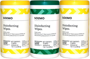 Solimo Wipes 75 count canister, 3 canister package!