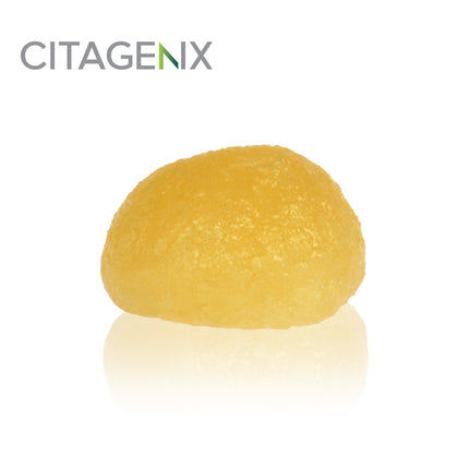 C-Graft Putty™