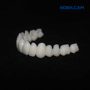 NOBILCAM Monolayer PMMA