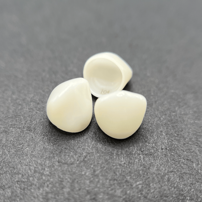 KTR Lower Right Cuspid Size 6 Mini Fit Zirconia