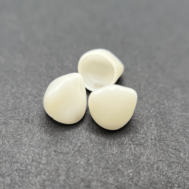 KTR Lower Left Cuspid Size 1 Mini Fit Zirconia