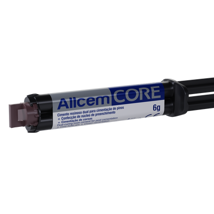 ALLCEM CORE - SYRINGE 6G