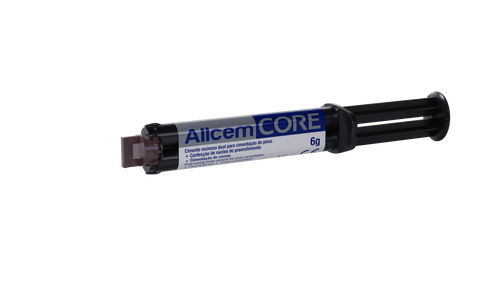 ALLCEM CORE - SYRINGE 6G