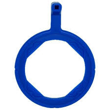 Blue Anterior Ring