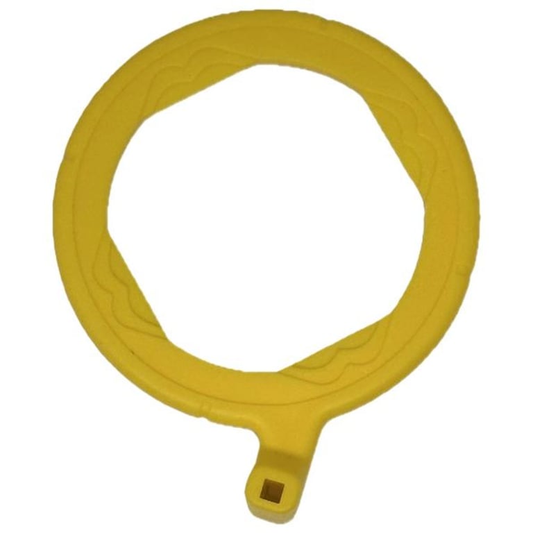 Yellow Posterior Ring