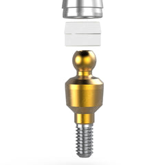 Collection image for: REMOVABLE DENTURE