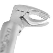 Extracting Forceps Routurier (# 22 1/2 R) Lower Molars and wisdoms, right