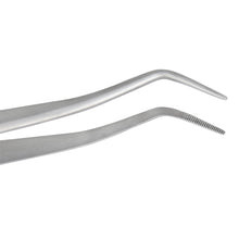 Meriam Cotton Forceps 16cm