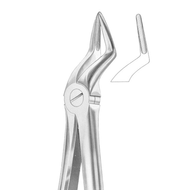 Extracting Forceps # 51A-Upper Roots