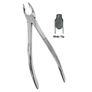 Deep Gripping Forceps # 35A Upper Incisors and Permolars Deep-gripping