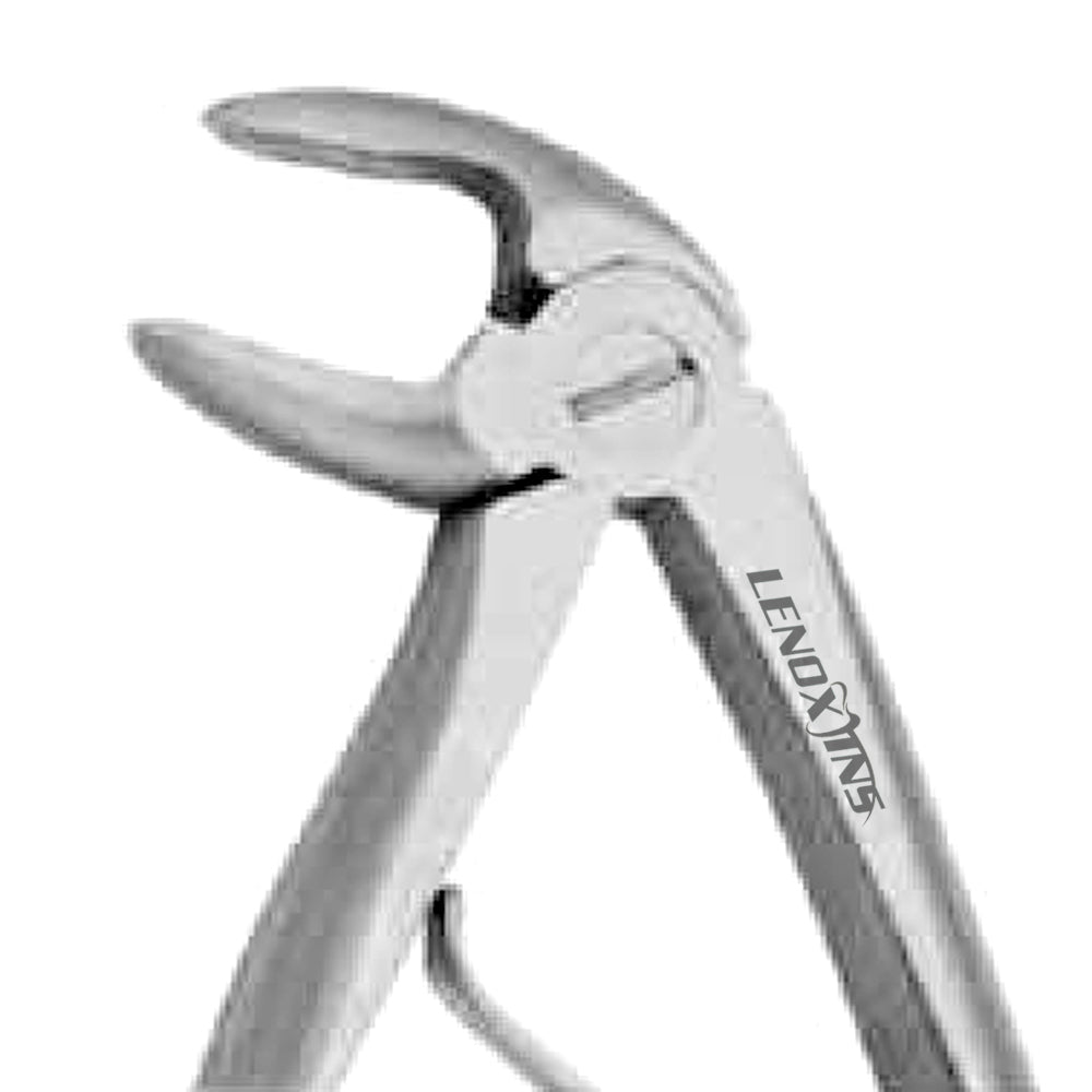 Baby Extracting Forceps English Pattern Klein #6 Pedodontic Lower Mola ...