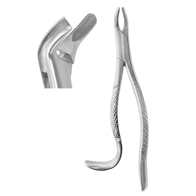 Extracting Forceps Fig. 24 upper molars