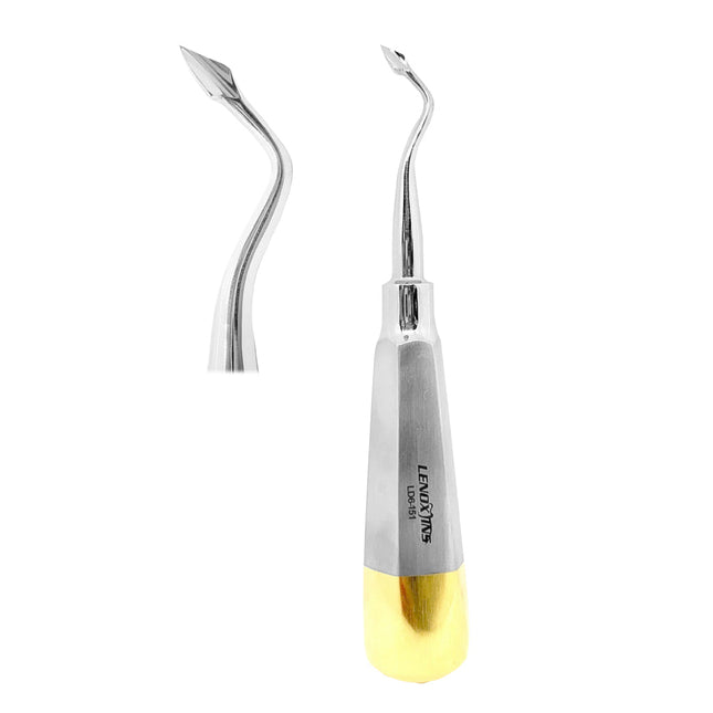 Bernard Root Elevators RIGHT