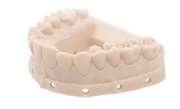 HUGE Dental Model Resin M3.0 (Almond)