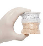HUGE Dental Model Resin M3.0 (Almond)