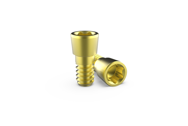 (X50) T5 Rosen Screw® 1.6mm (For T5 Driver)