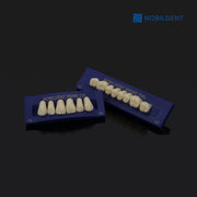 Nobildent Prime DXL Artificial Denture Teeth Posteriors 33°