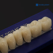 Nobildent Prime DXL Artificial Denture Teeth Posteriors 33°