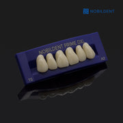 Nobildent Prime DXL Artificial Denture Teeth Posteriors 33°