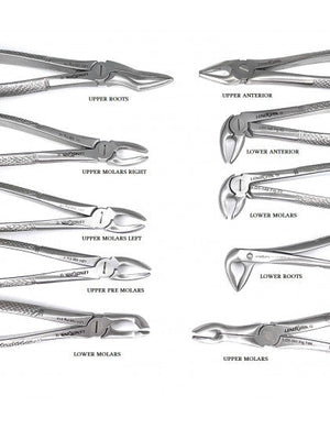 Extracting Forceps Set of 10
